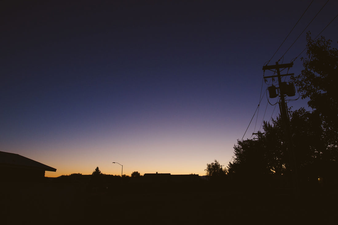 Field Note Friday, Edition 008: The Sounds of Late August