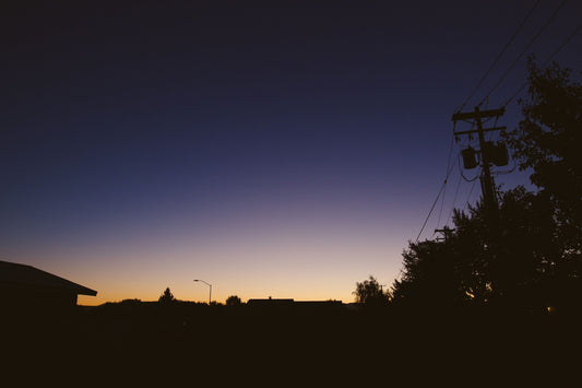 Field Note Friday, Edition 008: The Sounds of Late August