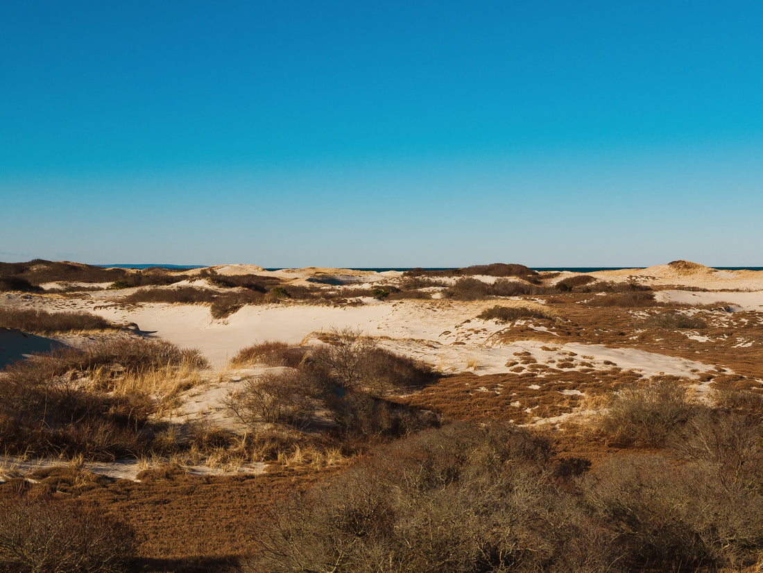 Field Note Friday, Edition 005: Sand, Everywhere Until it's Not