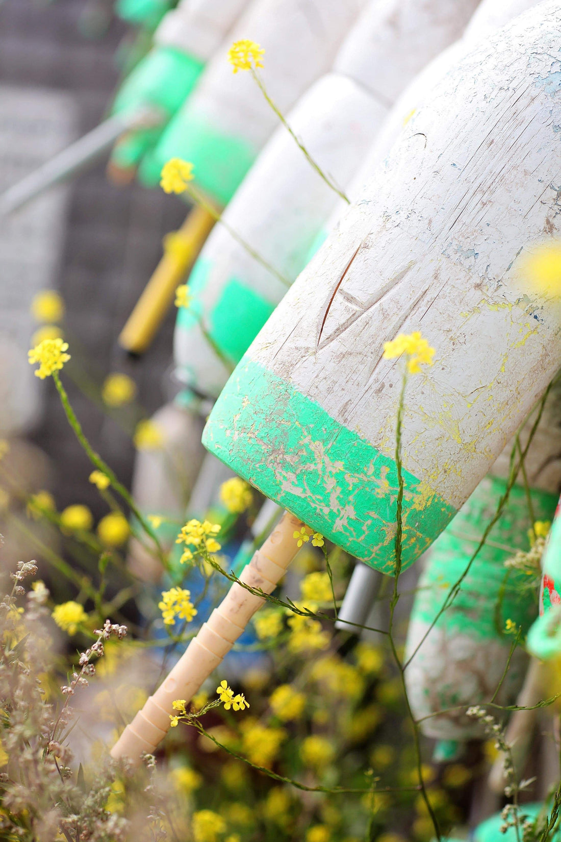 A Love Letter to the Cape Cod Washashore