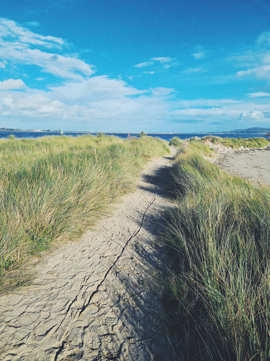 Field Note Friday, Edition 001: The Beach Is Always Further Away Than You Remember